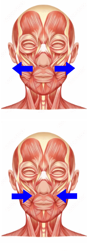 頬筋トレーニング│たむら式鍛錬塾