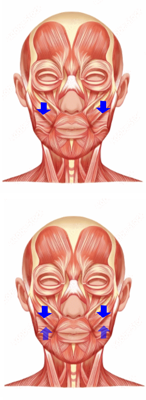 頬筋トレーニング│たむら式鍛錬塾