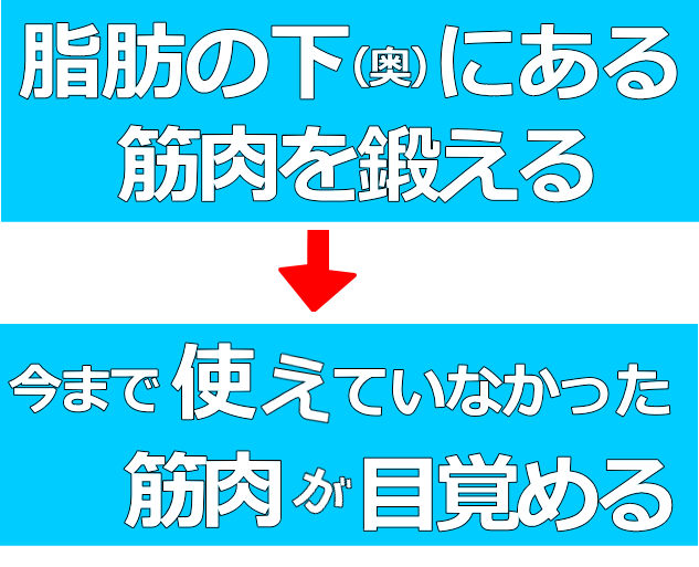 脂肪＆美容│たむら式鍛錬塾