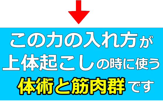 上体起こし3│たむら式鍛錬塾
