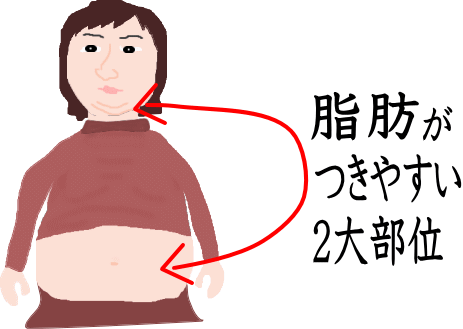 脂肪＆美容│たむら式鍛錬塾