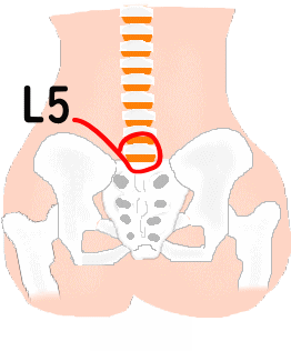 上体起こし3│たむら式鍛錬塾