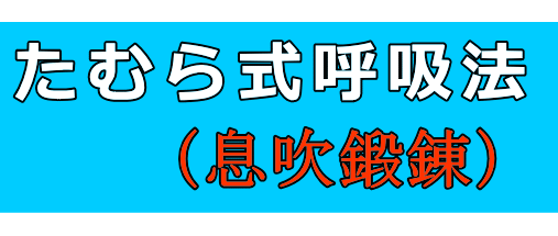 呼吸法（息吹鍛錬）│たむら式鍛錬塾・町田市の整体院