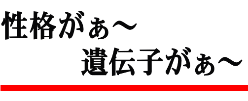 心の疲弊│たむら式鍛錬塾・町田市の整体院