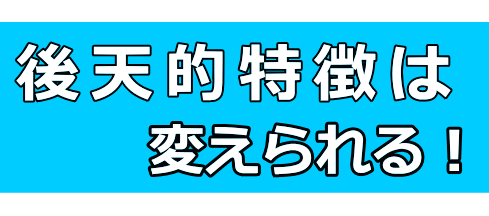 心の疲弊│たむら式鍛錬塾・町田市の整体院