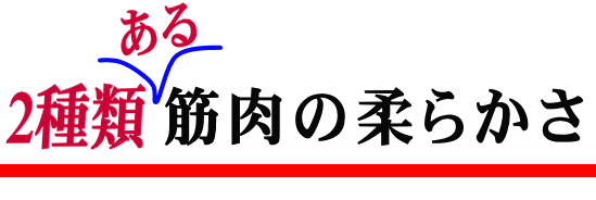 怠い 無気力 弛む筋肉│たむら式鍛錬塾・町田市の整体院